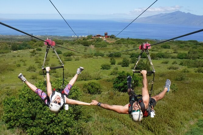 Small-Group Half-Day Maui Zipline Tour - Key Points