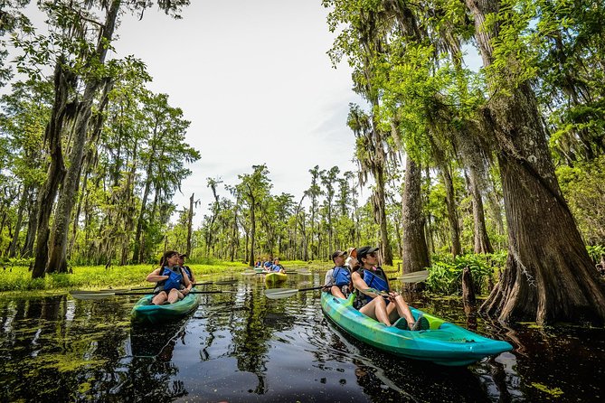 Small-Group Manchac Swamp Kayak Tour With Local Guide - Key Points
