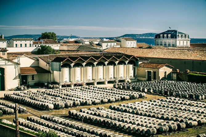 Small-Group Tour of Noilly Prat Vermouth Cellar With Tasting - Key Points