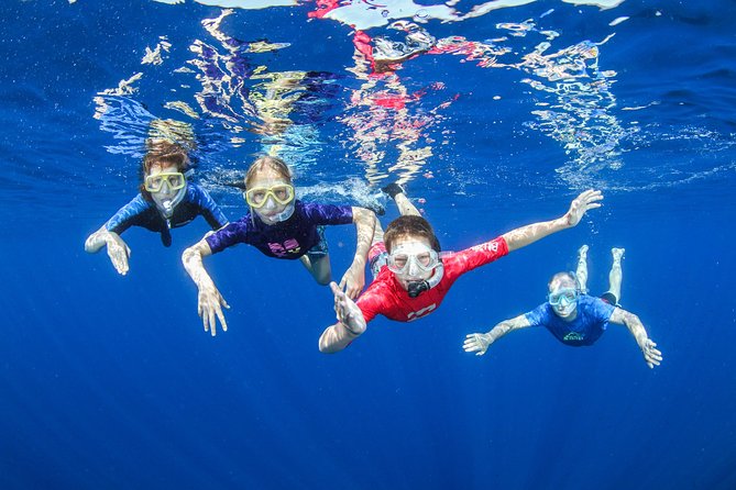 Snorkeling and Boat Tour in Crete - Key Points
