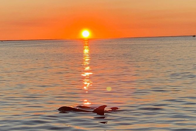 Sunset Cruise on the Florida Bay - Key Points