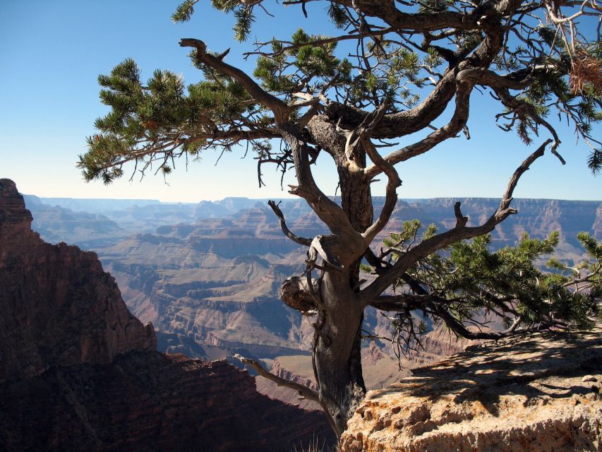 The Grand Canyon Classic Tour From Sedona, AZ - Key Points