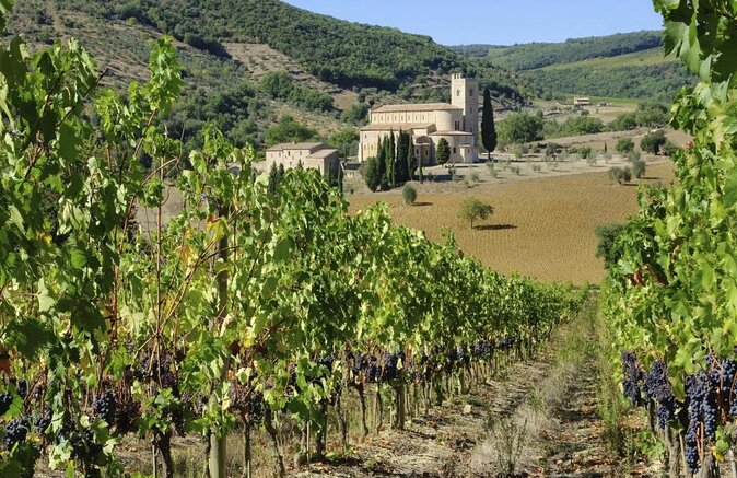 Val Dorcia Brunello Wine Tour With Montalcino and Montepulciano - Key Points