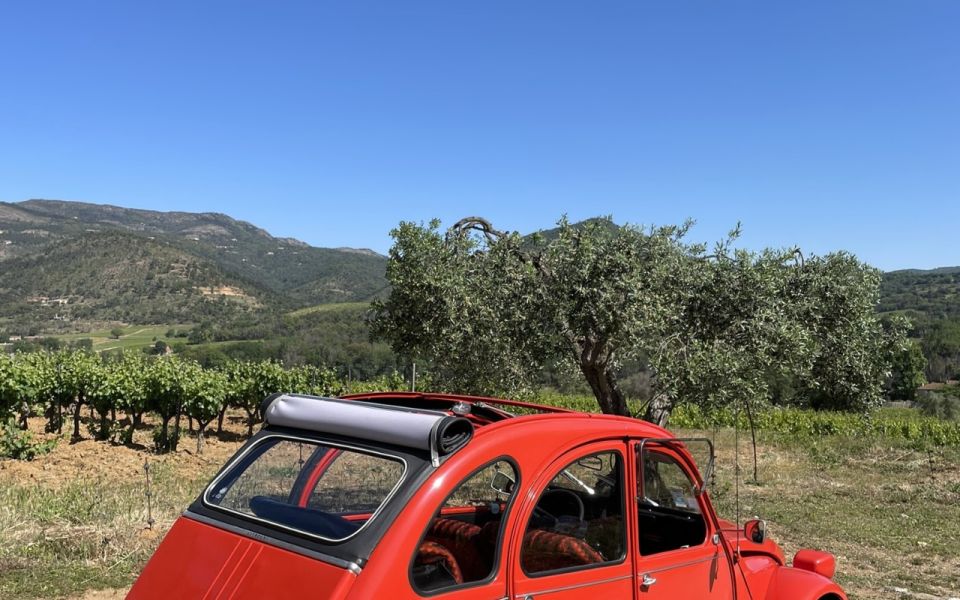 Vintage Wine Tour in Saint-Tropez - Key Points