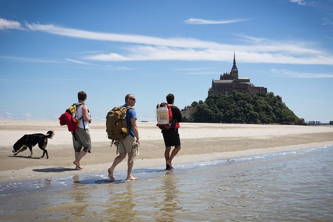 Walking Tour in the Bay of Mont-Saint-Michel - Key Points