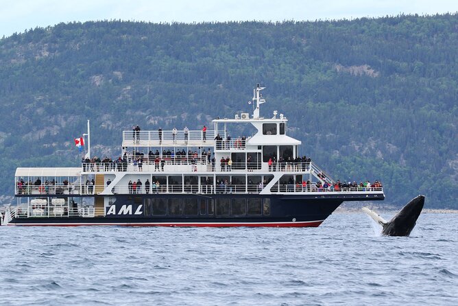 Whale Watching Cruise From Tadoussac or Baie-Ste-Catherine - Key Points