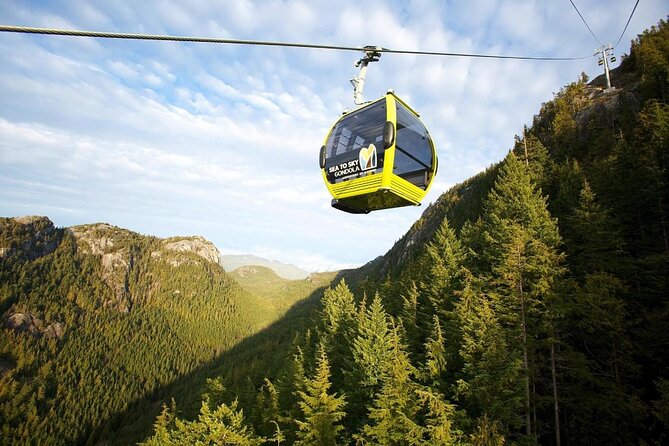 Whistler & Sea to Sky Gondola Small-Group Day Trip From Vancouver - Key Points