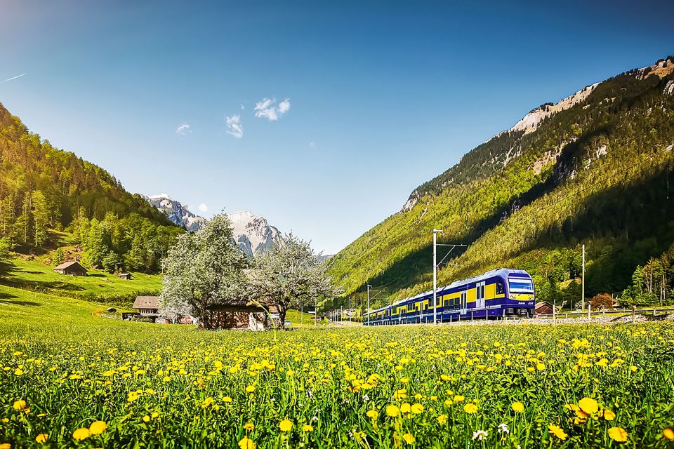 Zurich: Day Trip to Grindelwald & Interlaken by Bus & Train - Key Points