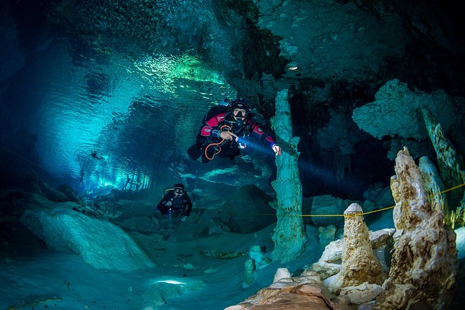 2 Tanks Cenote Diving Adventure in Tulum for Certified Divers - Tour Highlights