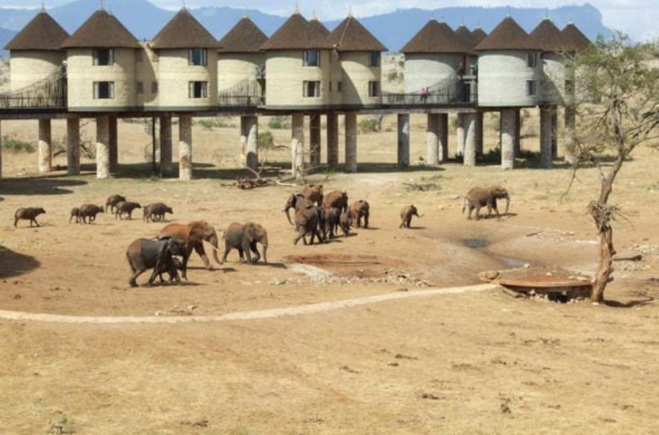 3 Days Safari to Saltlick Lodge From Nairobi - Safari Itinerary Highlights