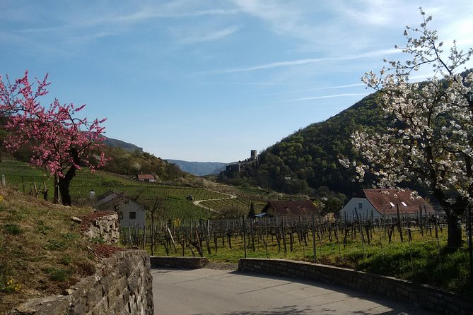 3-Hour Private Hiking Tour to Historic Places Around Spitz in Wachau Valley - Tour Details