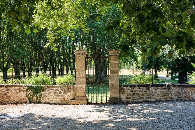 Aix-En-Provence Old Town, Wine & Art of Châteaux Beaupré & Bonisson Private Tour