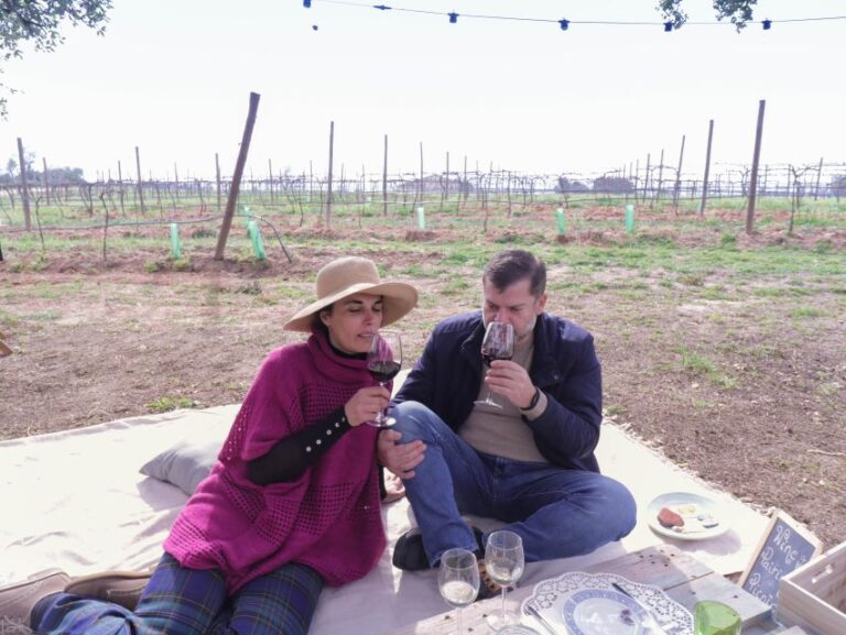 Algarve Romantic Vineyard Picnic