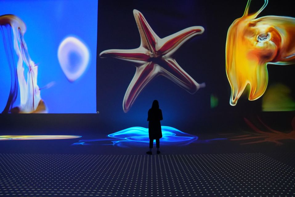 Amsterdam: Nxt Museum - Interactive Digital Art Entry Ticket - Ticket Details