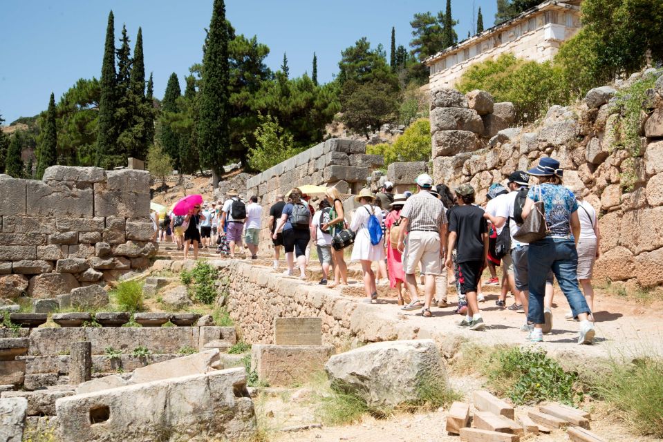 Athens: Delphi Day Trip With Licensed Guide & Entry Tickets - Trip Details