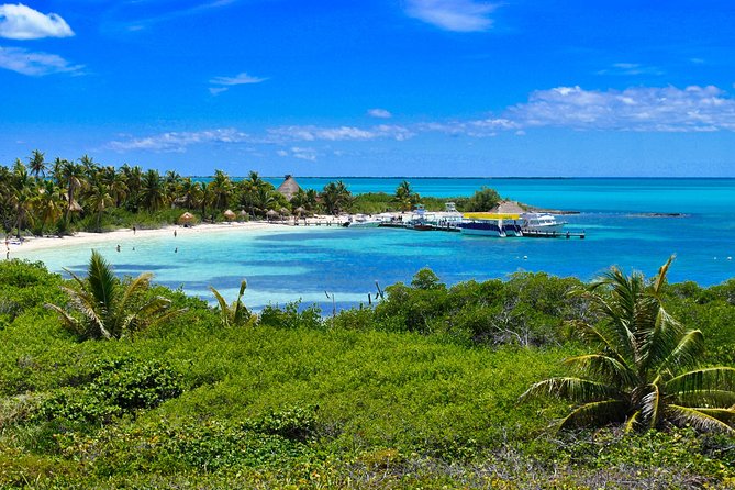 Beach Escape: Isla Contoy and Isla Mujeres With Snorkeling. - Tour Itinerary and Highlights