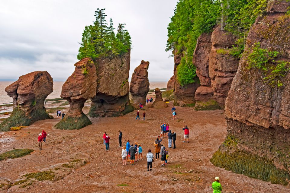 Best of Hopewell Rocks & Fundy National Park From Moncton - Tour Details