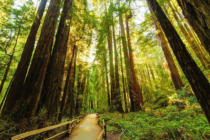 Bike the Golden Gate Bridge and Shuttle Tour to Muir Woods - Tour Options