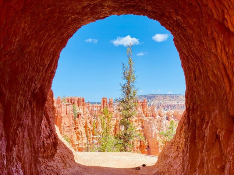 Bryce Canyon National Park: Guided Hike and Picnic
