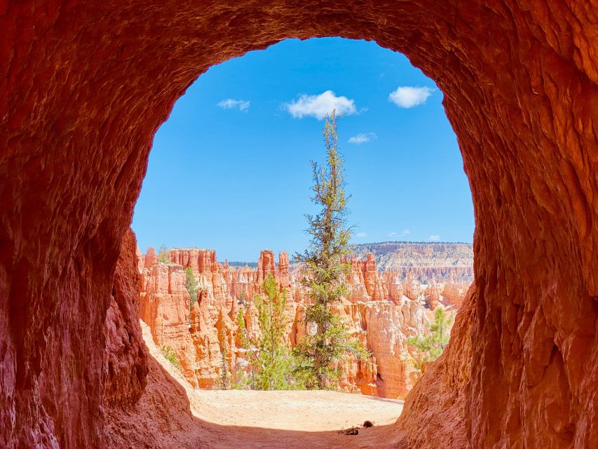 Bryce Canyon National Park: Guided Hike and Picnic - Activity Details