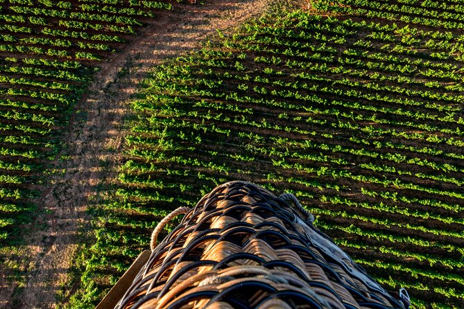 Burgundy Hot-Air Balloon Ride From Beaune - Experience Overview