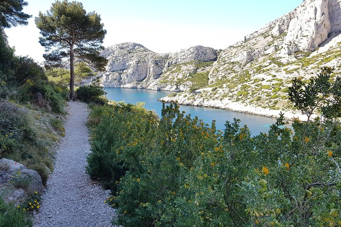 Calanques National Park Guided Hiking Tour