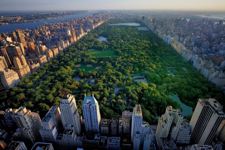 Central Park NYC: First Discovery Walk and Reading Tour
