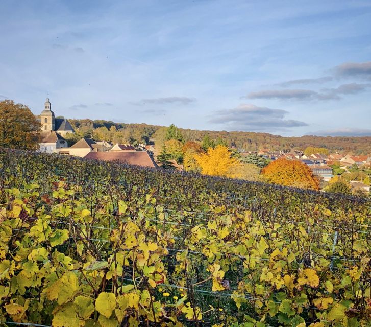 Champagne Tasting in Reims ! - Tour Details