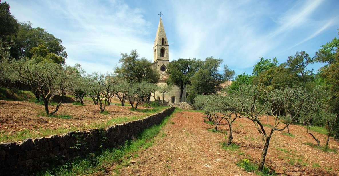 Churches of Provence & French Countryside Private Tour - Tour Details
