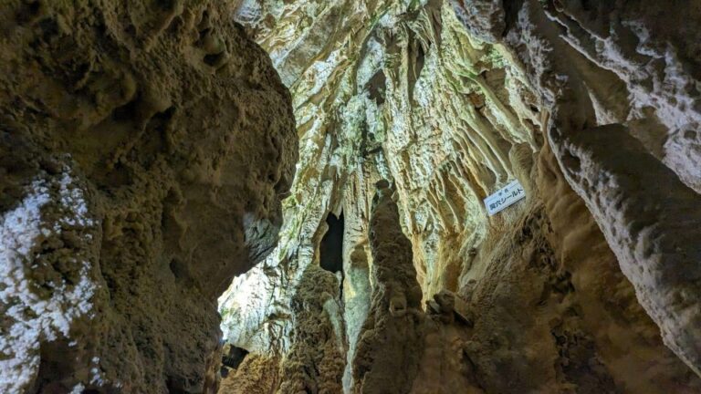 Day Tour: Hida’s Gems – Caves, Bears, and Shinhotaka Ropeway