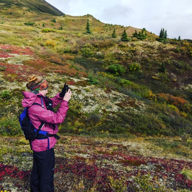 Denali: 5-Hour Guided Wilderness Hiking Tour - Tour Duration and Language