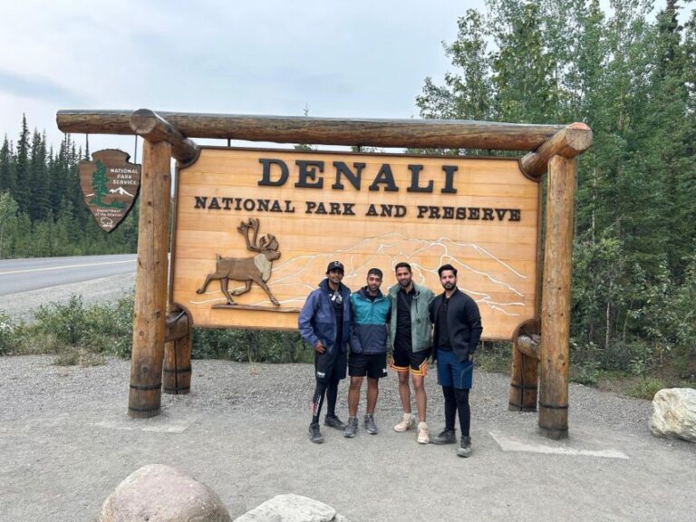 Denali-in-a-Day Sightseeing Tour