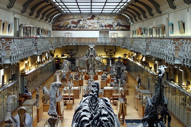 Dinosaurs Family Tour in the Natural History Museum of Paris - Languages and Meeting Point