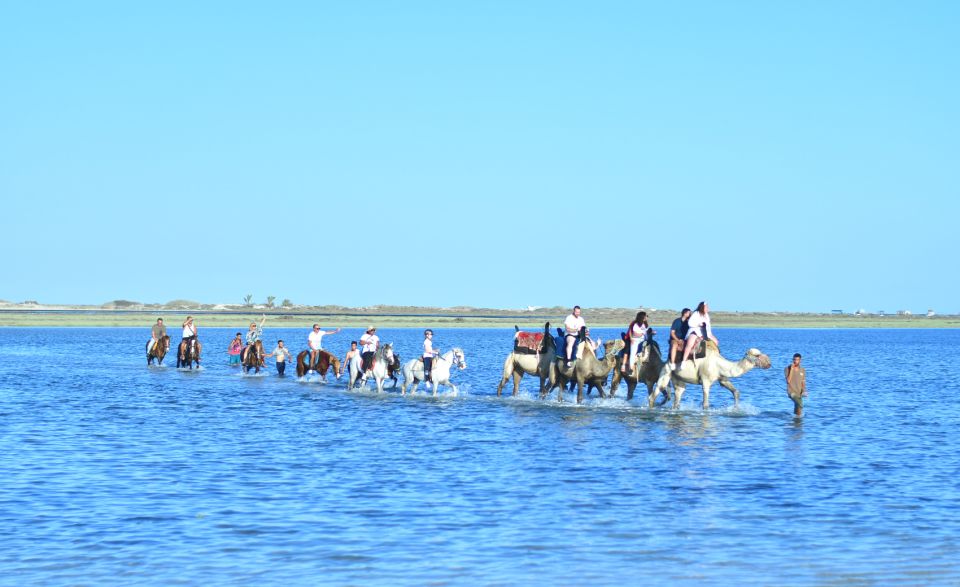 Djerba: Horse and Camel Combo Caravan Tour - Tour Location and Provider