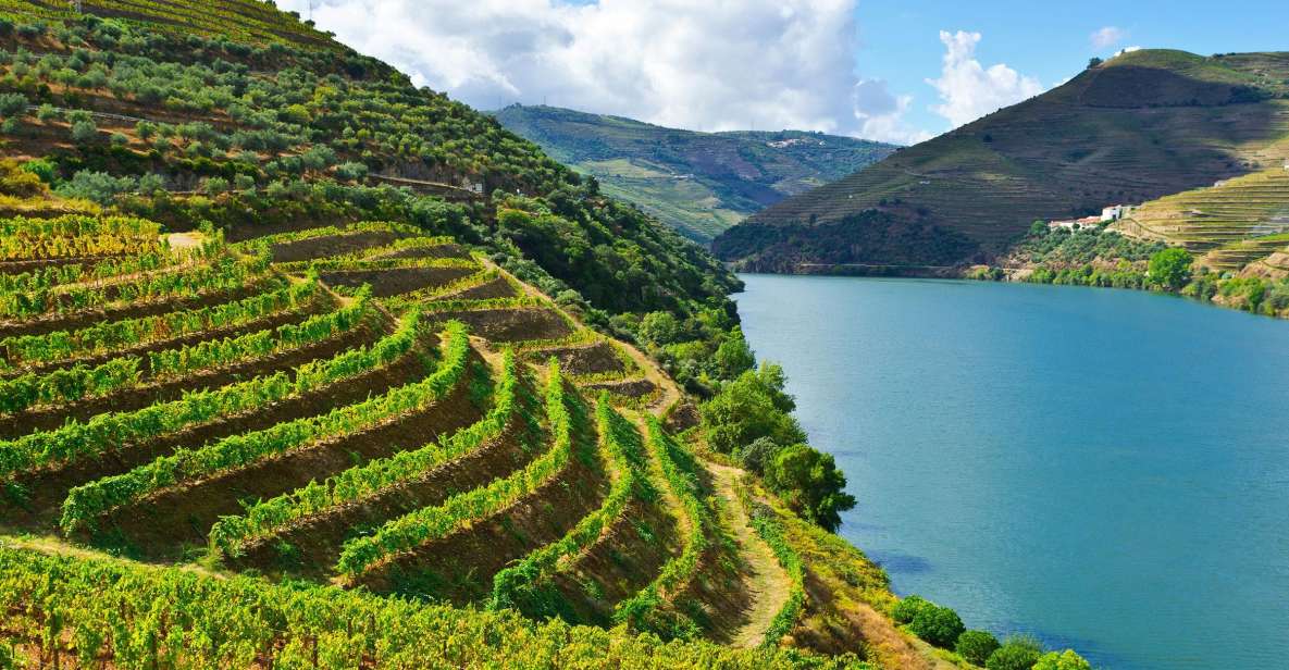 Douro Valley & Amarante - From Porto or Guimarães - Tour Details