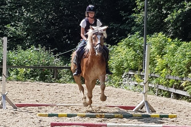 Equestrian Adventure Day for Big and Small Horse Lovers