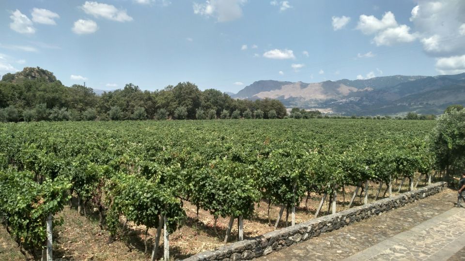 Etna: Wine Tasting and Food Tour - Tour Details