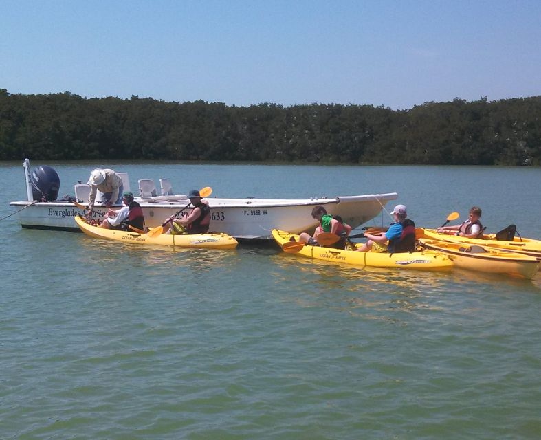 Everglades National Park: Boat Assisted Kayak Eco Tour - Tour Overview