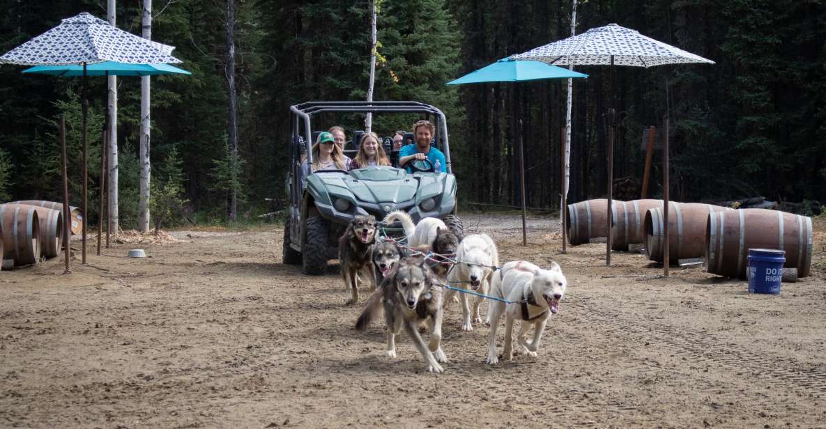 Fairbanks: Summer Mushing Cart Ride and Kennel Tour - Inclusions