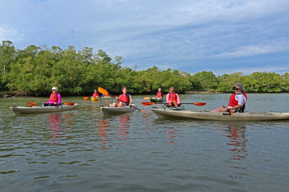 Florida Keys: Key West Kayak Eco Tour With Nature Guide - Experience Description