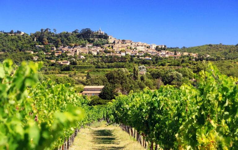From Aix-En-Provence: Châteauneuf Du Pape Wineries Day Trip