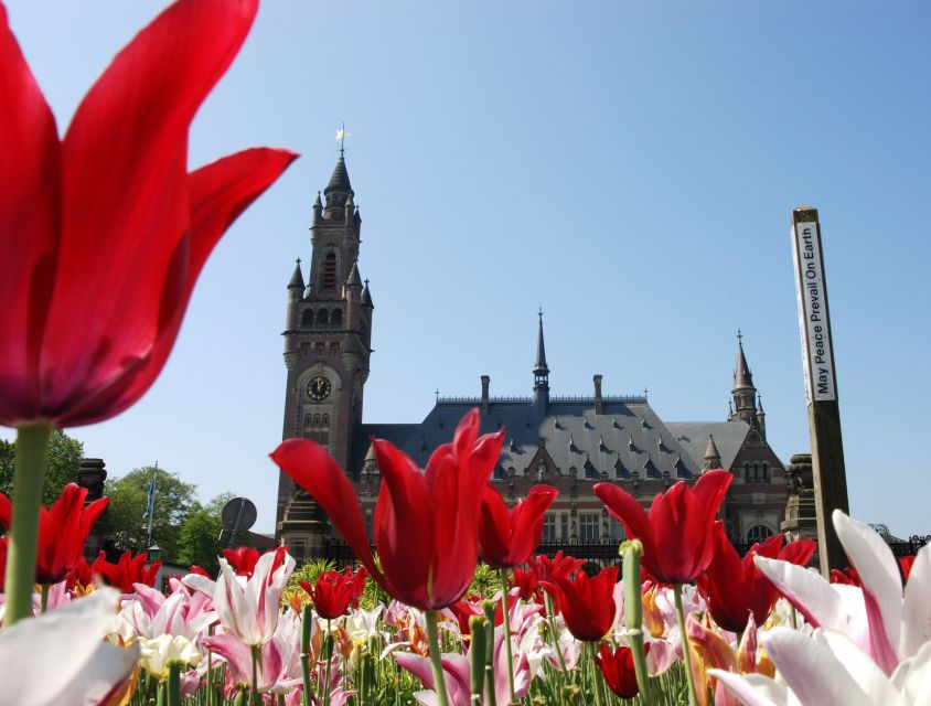 From Amsterdam: Guided Trip to Rotterdam, Delft & The Hague - Activity Details