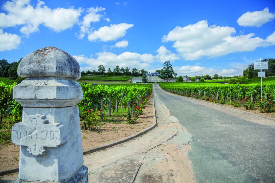 From Bordeaux: Full-Day St Emilion Wine Tasting Tour - Tour Overview