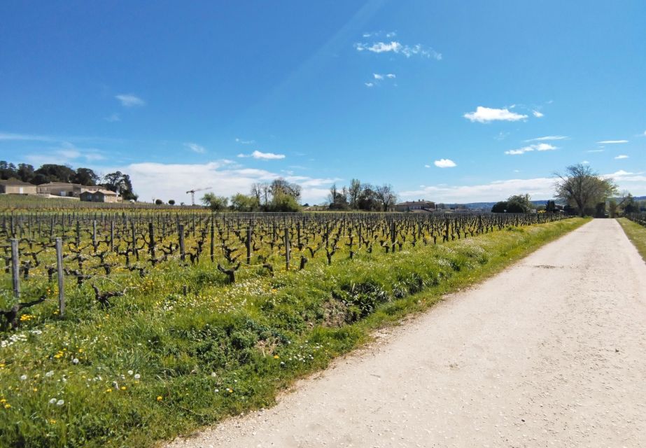 From Bordeaux to Saint Emilion by Gravel Bike - Wine Tasting - Tour Overview