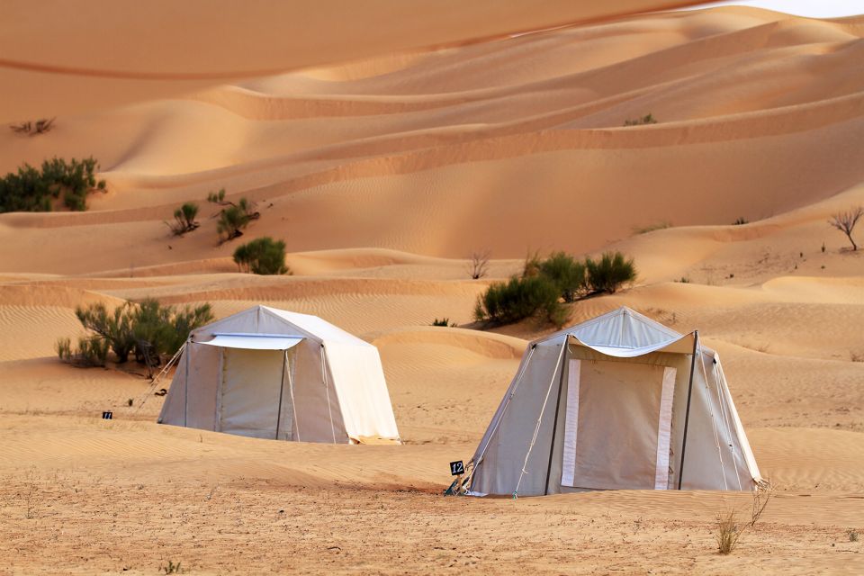 From Douz: Overnight Safari in Tunisian Sahara Desert - Location and Provider