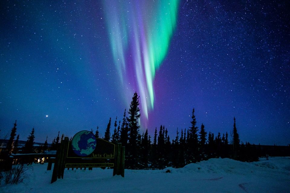 From Fairbanks: Northern Lights and Arctic Circle Tour - Tour Features