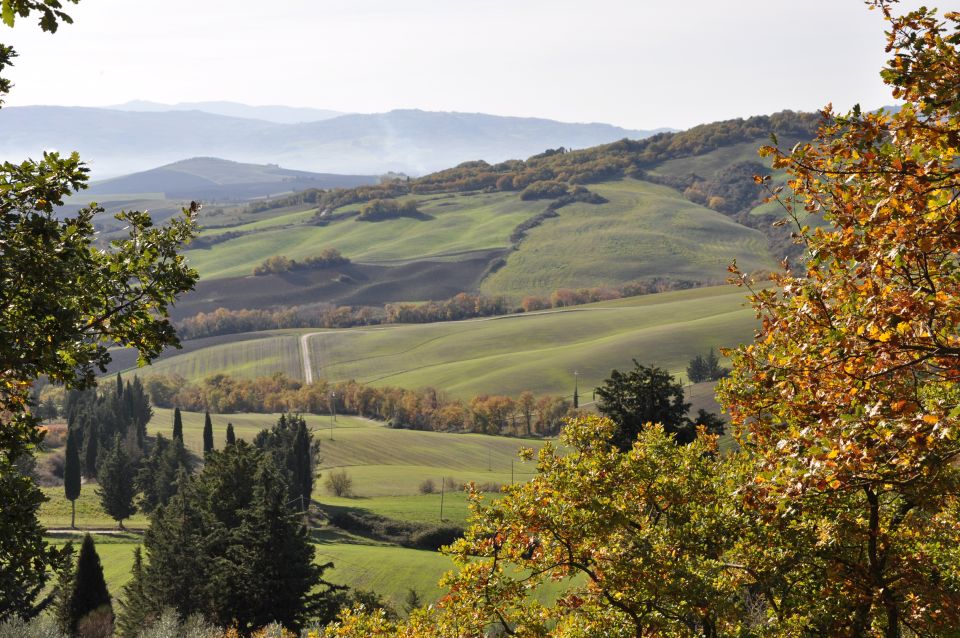 From Florence: Val D'Orcia Full-Day Wine Tasting Tour - Tour Overview