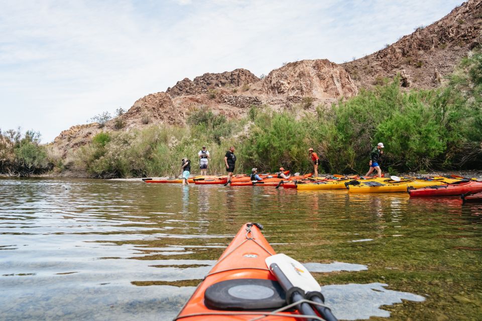 From Las Vegas: Black Canyon Half-Day Kayak Tour - Activity Details