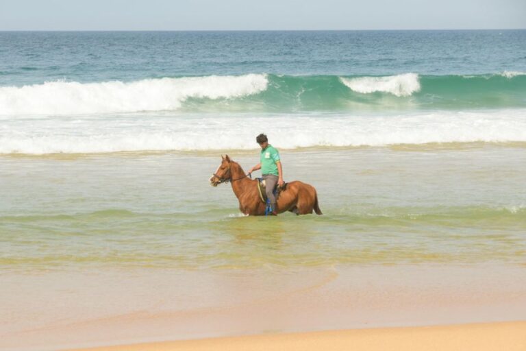 From Lisbon: Horseback Riding on Comporta Beach