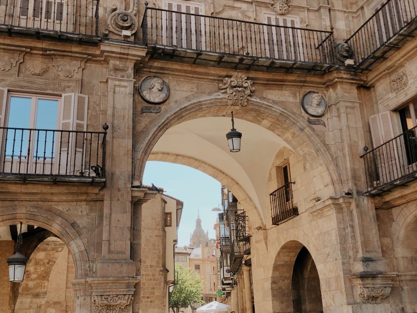 From Madrid: Day Trip to Salamanca With Private Tour - Highlights